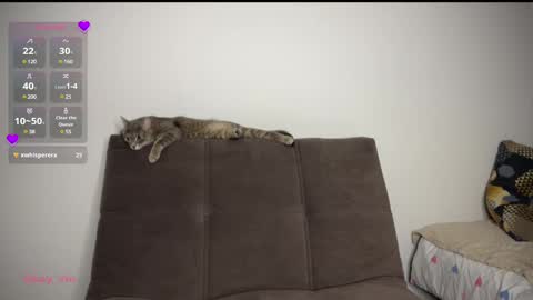 Snapshot of holybabe342 chatting on 03-01-25, 08:21 Vio online show from 03-01-25, 08:21