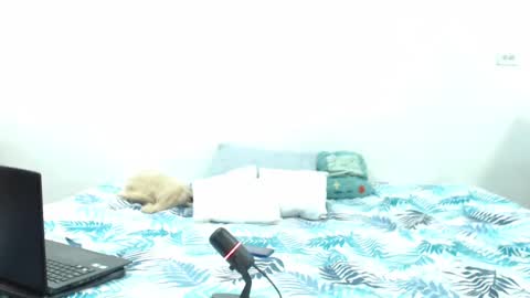 Snapshot of holycode chatting on 02-02-25, 10:57 Holycode online show from 02-02-25, 10:57