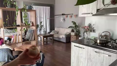 dori not holy get my tg channel with link from description under last photo online show from 03-08-26, 10:08