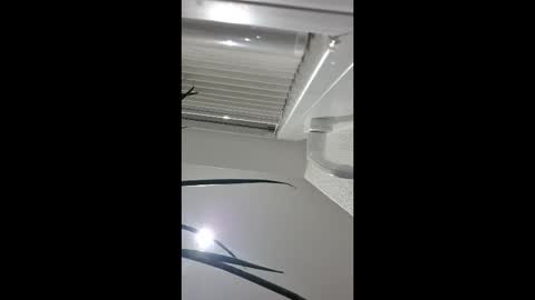 Snapshot of holzinger chatting on 04-05-26, 10:51 holzinger online show from 04-05-26, 10:51