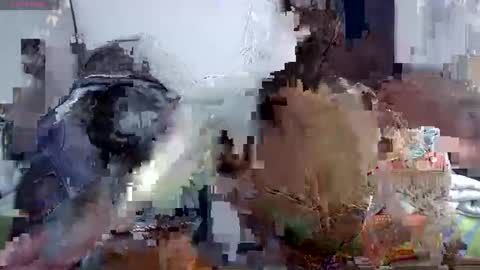 horny and daring online show from 06-06-26, 06:34
