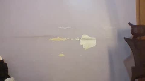 phanice online show from 04-22-26, 05:10