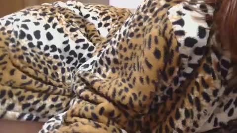 Snapshot of horny_hey chatting on 02-22-25, 10:20 Serena online show from 02-22-25, 10:20