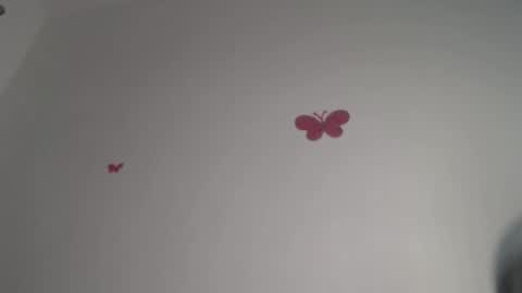 Iris online show from 12-04-25, 08:28