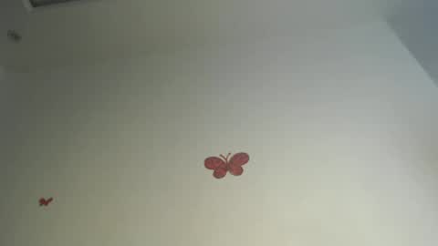 Iris online show from 06-16-26, 08:33
