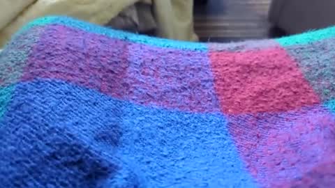 Snapshot of hornyallthetime6969696969 chatting on 01-11-26, 10:26 Tiny cock online show from 01-11-26, 10:26