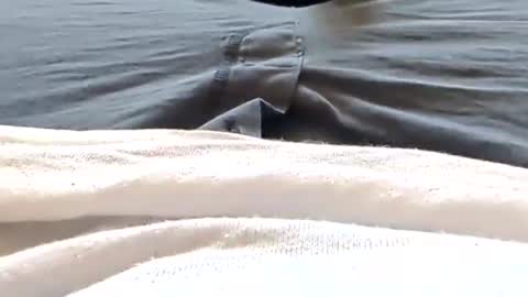 Tiny cock online show from 04-25-26, 06:05