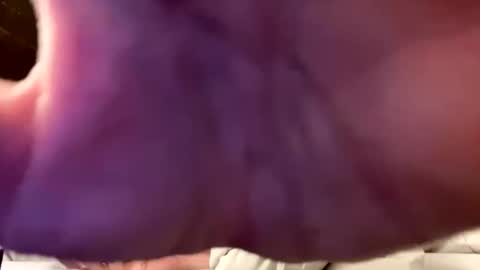 Snapshot of hornyboi2710 chatting on 09-10-25, 10:54 Justin 7 inches online show from 09-10-25, 10:54