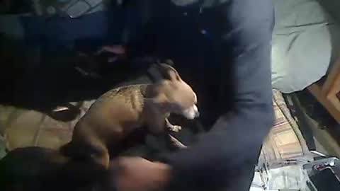 Snapshot of hornyscott666 chatting on 03-04-26, 09:04 hornyscott666 online show from 03-04-26, 09:04