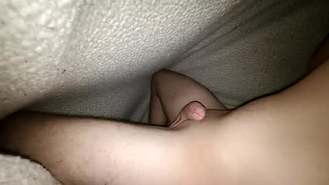 horsecock9748 online show from 12-28-24, 06:40