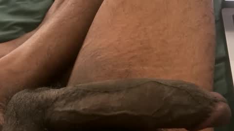 Bbc horsey online show from 02-03-26, 12:31