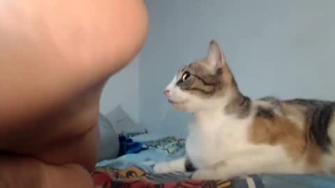 angels online show from 01-24-25, 08:34