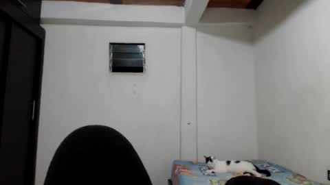 angels online show from 11-23-25, 05:40