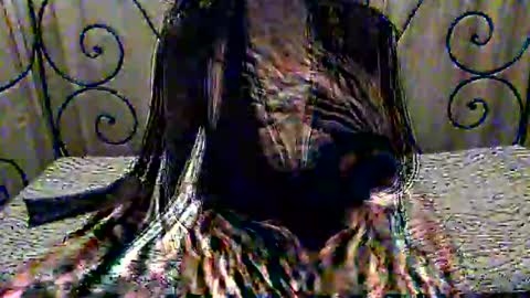 Dina online show from 11-01-25, 08:11