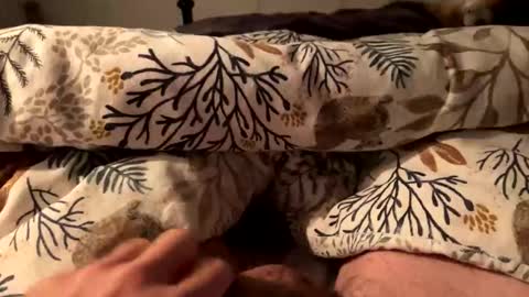 Snapshot of hot_for_you_ chatting on 10-18-25, 12:57 hot_for_you_ online show from 10-18-25, 12:57