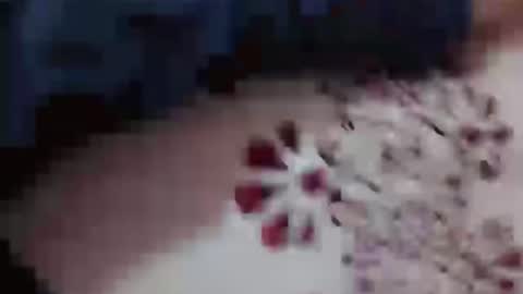 Snapshot of hotcapolx chatting on 11-23-25, 04:51 Hotcapolx online show from 11-23-25, 04:51