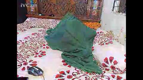 Snapshot of hotcapolx chatting on 11-24-25, 05:34 Hotcapolx online show from 11-24-25, 05:34