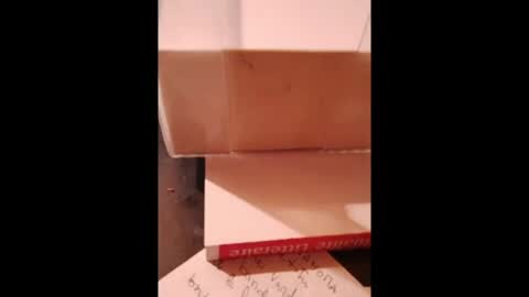 hotlux_54 online show from 07-18-26, 11:30