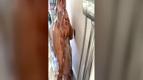 hotman7423 online show from 07-05-26, 02:35