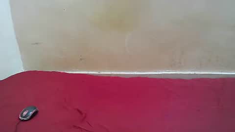 Snapshot of hotpussy1225 chatting on 11-10-25, 08:13 hotpussy1225 online show from 11-10-25, 08:13