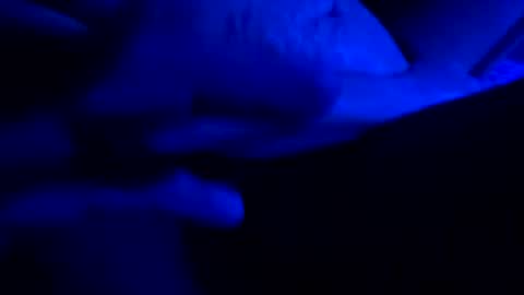 hotsexy6985 online show from 05-24-26, 06:29