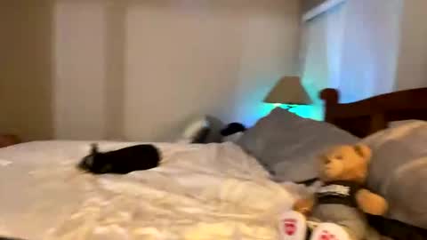 hottiewithabody101 online show from 04-11-26, 11:53