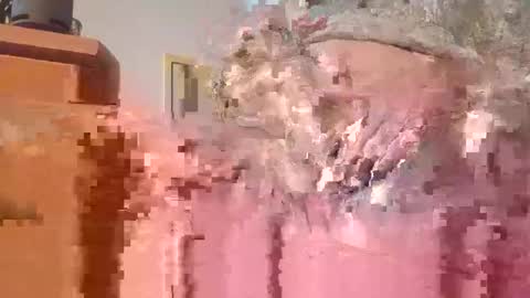 hottinrh2 online show from 05-03-26, 07:53