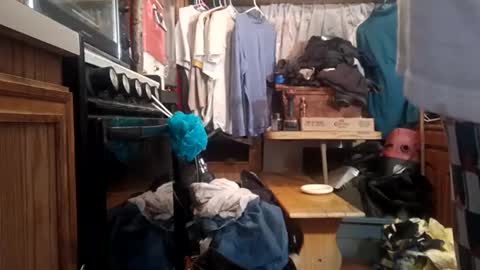 houndmefromhell online show from 12-02-24, 10:50