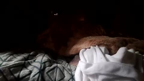 houndmefromhell online show from 12-25-24, 04:22