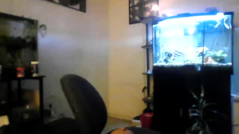 hrnyymff online show from 06-29-26, 04:52