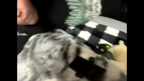 htfsb online show from 02-15-26, 01:57