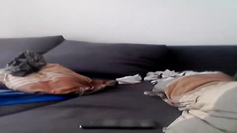 hubikush22 online show from 08-04-26, 04:42
