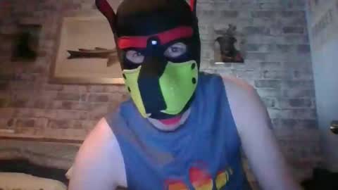Snapshot of hudson_the_irish_pup chatting on 04-02-26, 12:41 Hudson the puppy play online show from 04-02-26, 12:41