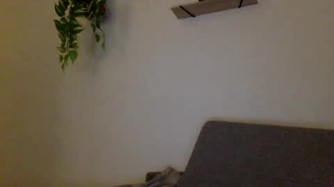 Snapshot of hugeswedishviking chatting on 12-13-24, 03:11 hugeswedishviking online show from 12-13-24, 03:11