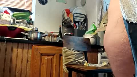 Snapshot of humiliationbucket chatting on 03-25-26, 11:49 humiliationbucket online show from 03-25-26, 11:49