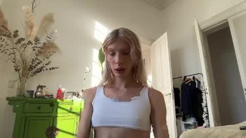 Snapshot of hung_angel_xxl chatting on 04-29-26, 07:31 Alice help me reach 100 likes online show from 04-29-26, 07:31