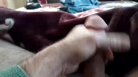 Snapshot of husky1511 chatting on 11-11-25, 09:20 husky1511 online show from 11-11-25, 09:20