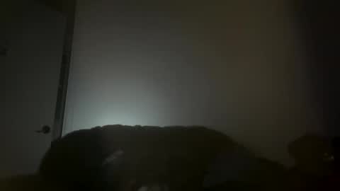 Snapshot of hustlemacc chatting on 11-16-25, 02:11 hustlemacc online show from 11-16-25, 02:11