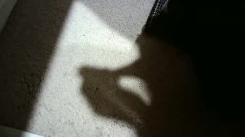 Snapshot of hypeman2323 chatting on 05-23-26, 02:50 Hypeman online show from 05-23-26, 02:50