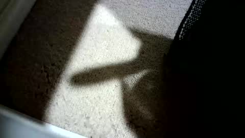 Snapshot of hypeman2323 chatting on 06-08-26, 12:58 Hypeman online show from 06-08-26, 12:58