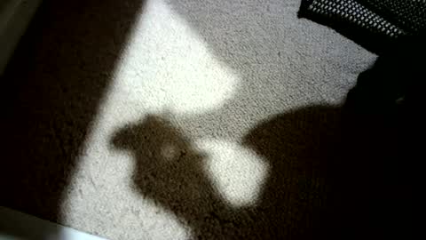 Snapshot of hypeman2323 chatting on 06-30-26, 06:58 Hypeman online show from 06-30-26, 06:58