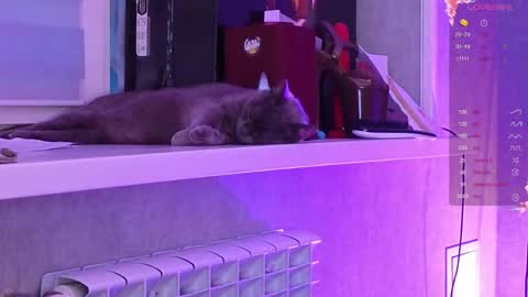 Snapshot of i_see_aysi chatting on 03-06-26, 03:08 Aysi online show from 03-06-26, 03:08