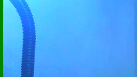 Snapshot of ian_zaenzz chatting on 12-18-24, 10:35 Samuel igsamuelnoguera 1333 online show from 12-18-24, 10:35