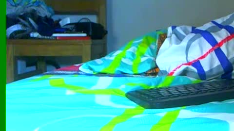 Snapshot of ian_zaenzz chatting on 12-28-24, 10:02 Samuel igsamuelnoguera 1333 online show from 12-28-24, 10:02