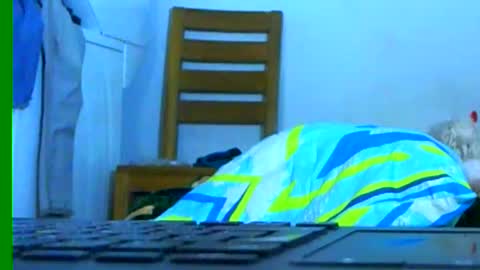 Snapshot of ian_zaenzz chatting on 01-26-25, 03:27 Samuel igsamuelnoguera 1333 online show from 01-26-25, 03:27