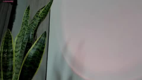 Snapshot of ice_princess__ chatting on 10-12-25, 04:33 Crystall online show from 10-12-25, 04:33
