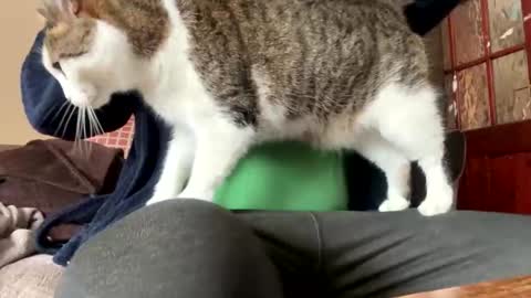 Snapshot of icums4u chatting on 03-24-26, 02:33 icums4u online show from 03-24-26, 02:33