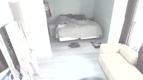 idiocracy517035 online show from 10-28-25, 11:29