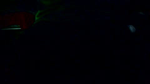 Snapshot of ifanta chatting on 12-04-25, 02:21 Nicolas online show from 12-04-25, 02:21