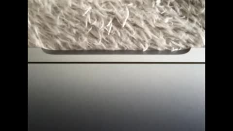 Snapshot of ijaisi chatting on 09-14-25, 01:43 Morvoys online show from 09-14-25, 01:43